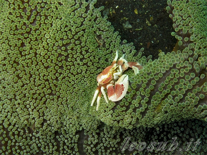 _img_6451.jpg