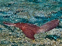 _Img_6117