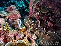 _Img_7656
