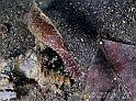 _img_6494