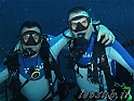 gemelli