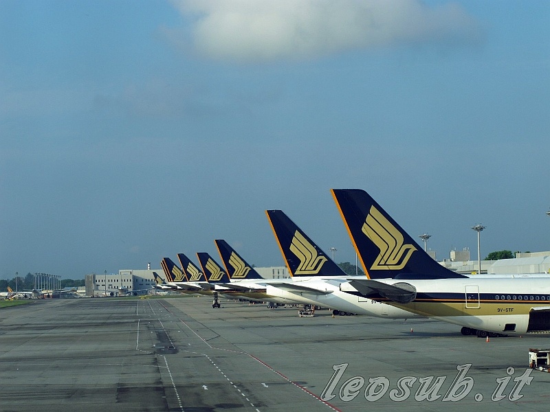 _2Img_5989.jpg