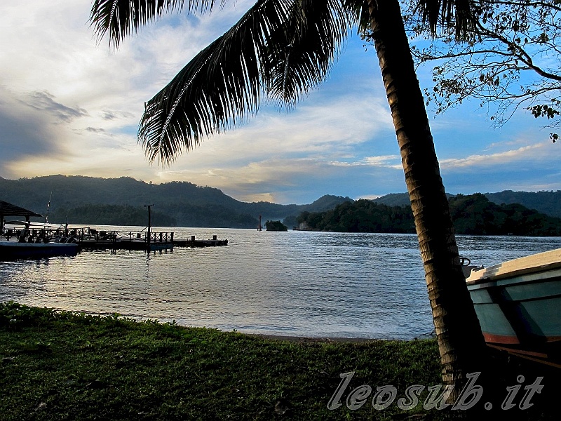 _Img_6773a.jpg
