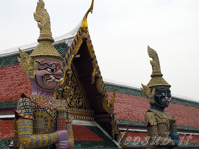 _Img_8641.jpg