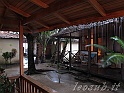 _IMG_7436