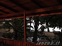 _IMG_7446