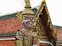 _IMG_8638