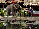 _Img_8422