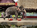 _Img_8423