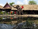 _Img_8425