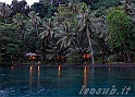 _img_6815