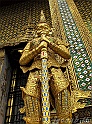 _img_8657