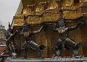 _img_8674